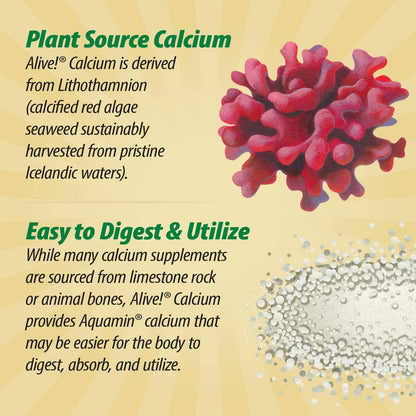 Nature's Way Alive! Calcium Max Absorption, Bone Support*, Plant Source Calcium, Vitamin D3 & K2, Magnesium, 120 Tablets (Packaging May Vary)